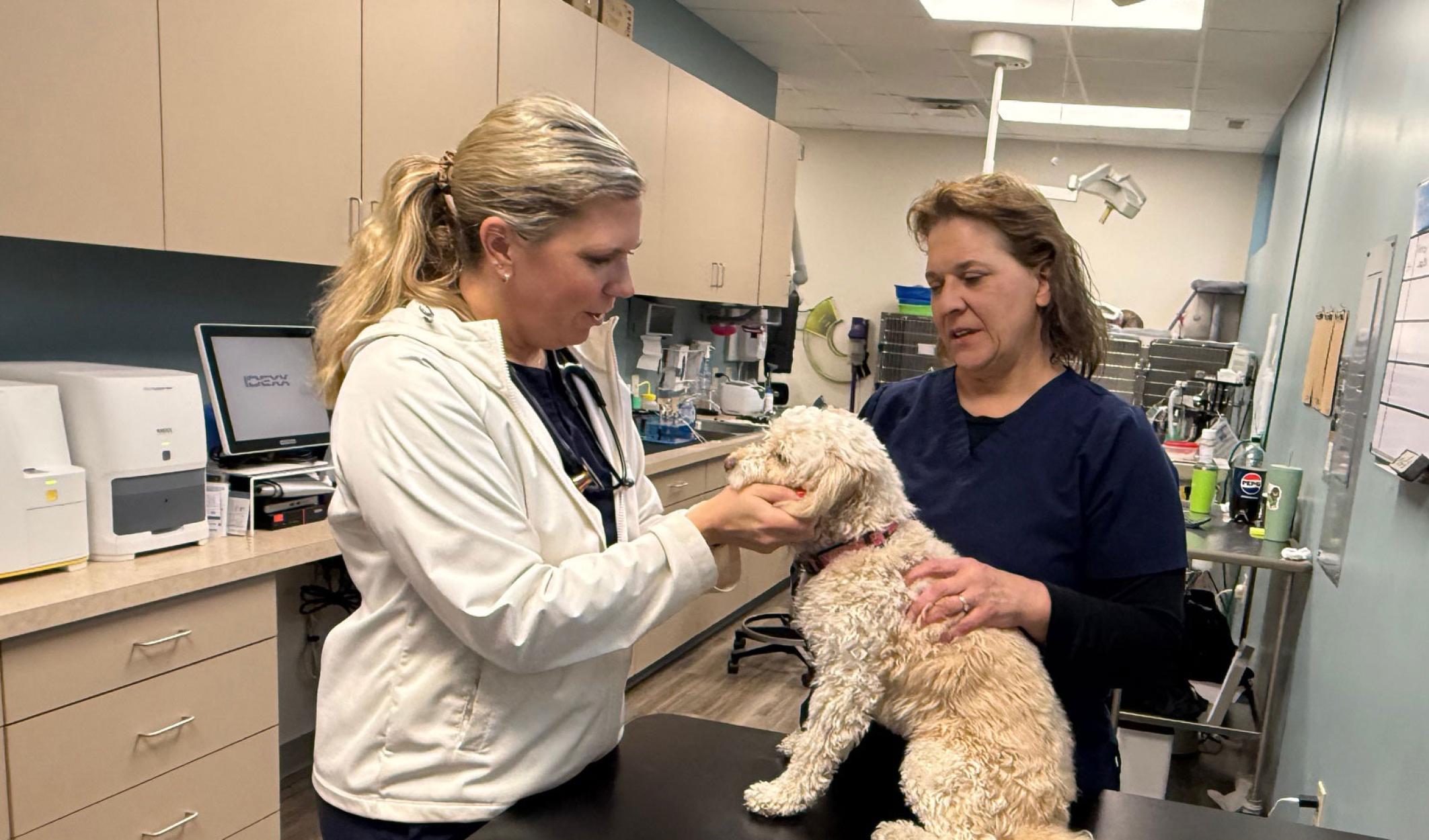 Dr. Behrens Examining Dog